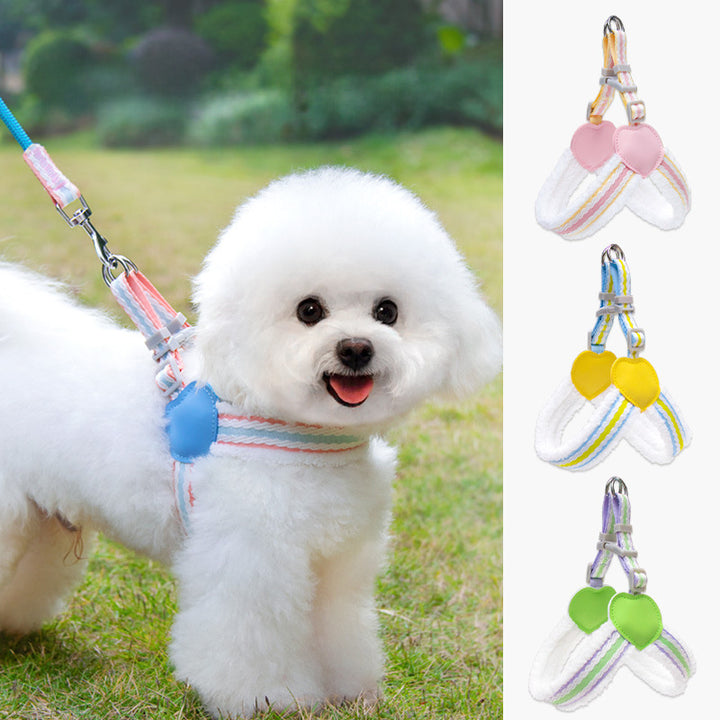 Dog Leash Summer