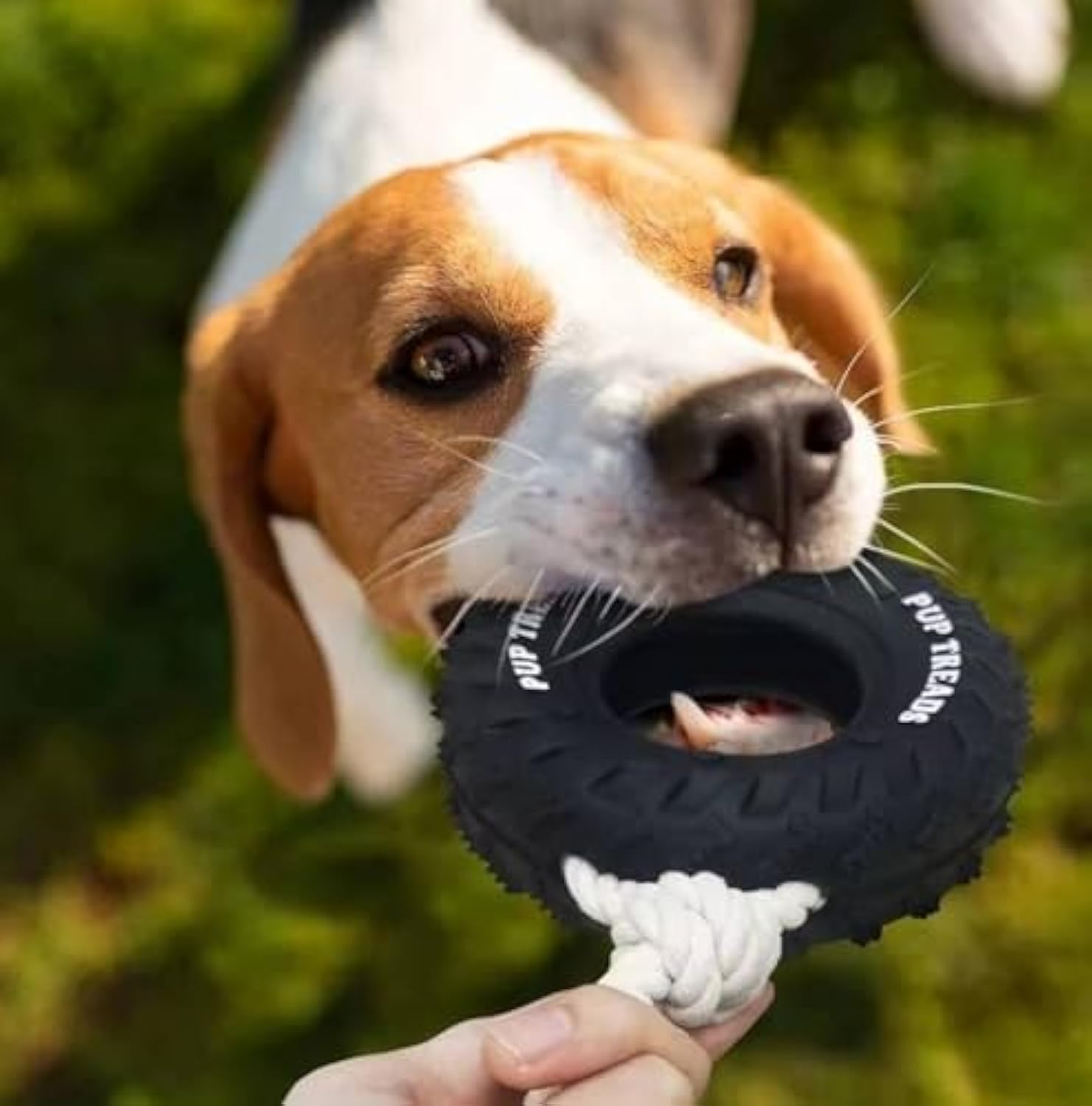 Durable Dog Toys For Aggressive Chewers, Treat Dispensing