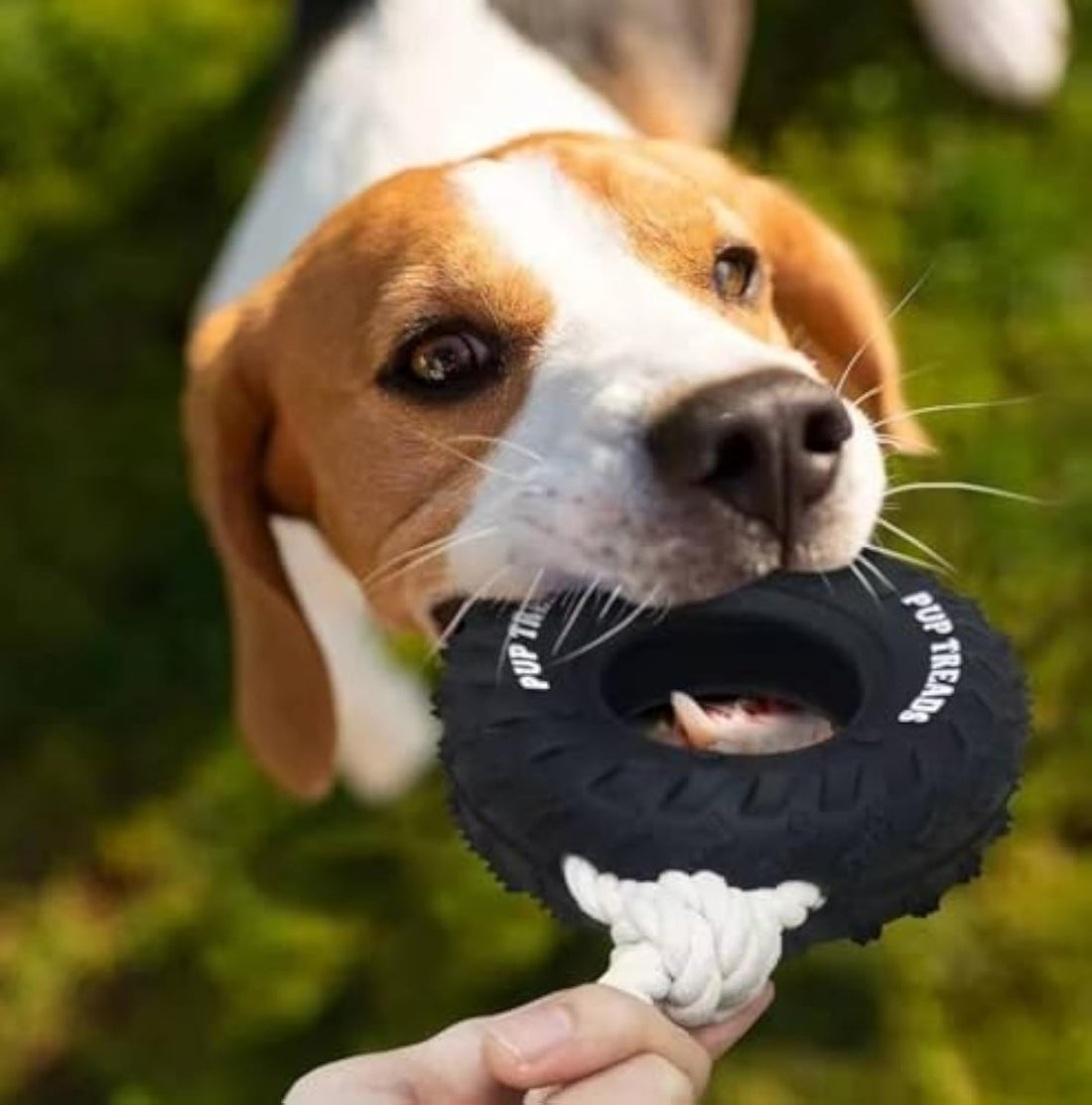 Durable Dog Toys For Aggressive Chewers, Treat Dispensing