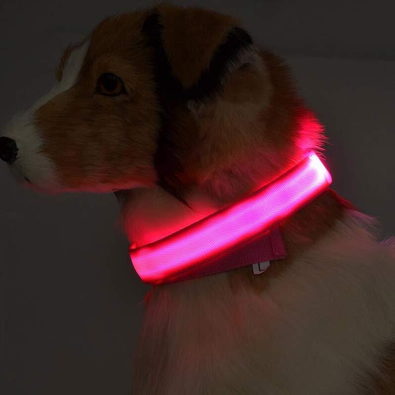 LED Pet Luminous Collar, Night Safety, Flashing, Glow in Dark