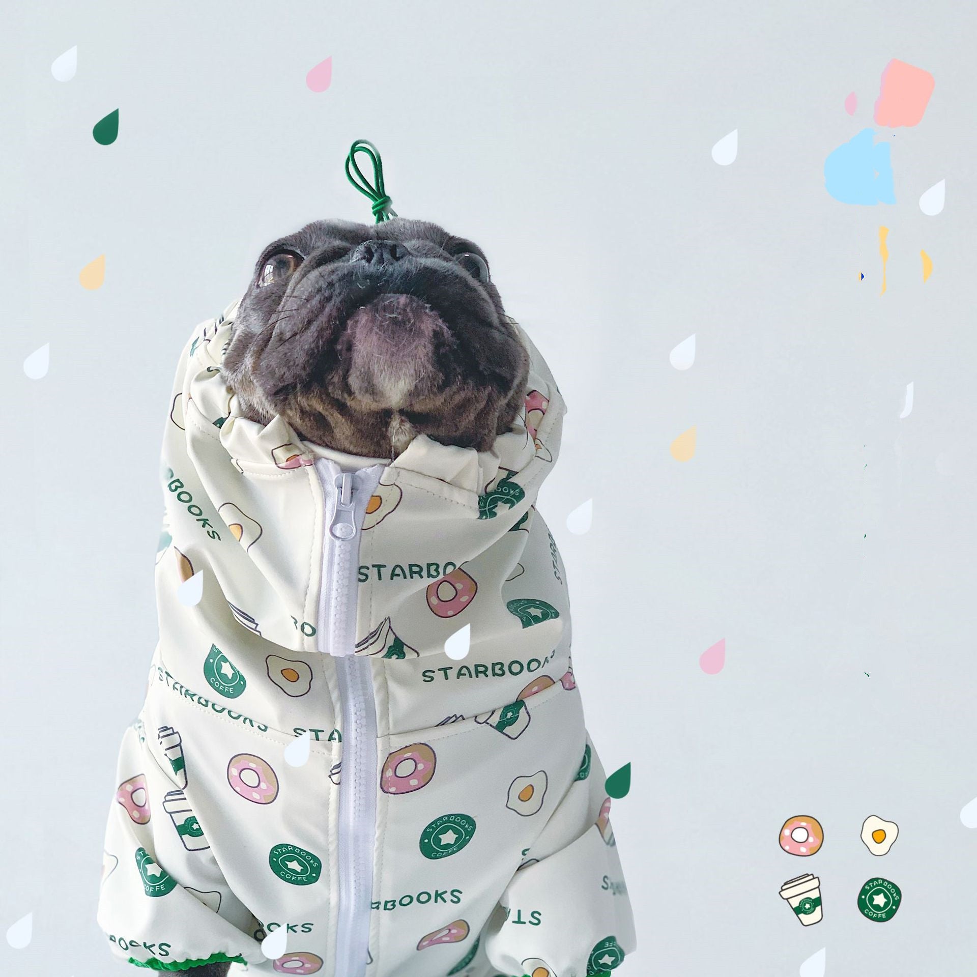 Stylish and Functional Eco-Friendly Dog Raincoat