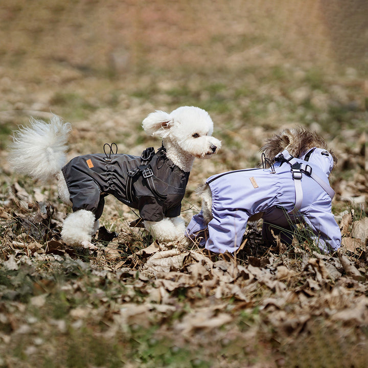 Personality Dog Pet One-piece Raincoat