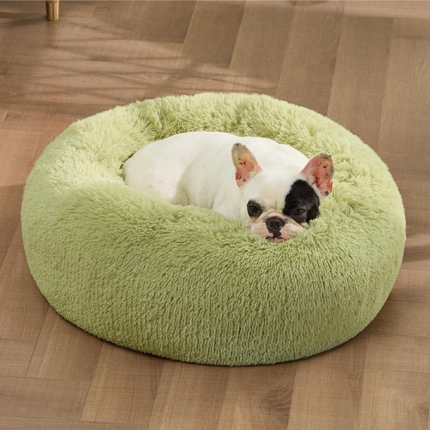 Indoor Solid Color Pet Bed