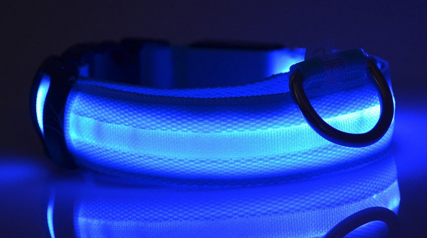 LED Pet Luminous Collar, Night Safety, Flashing, Glow in Dark