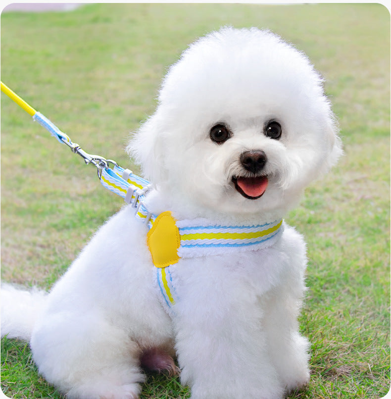Dog Leash Summer