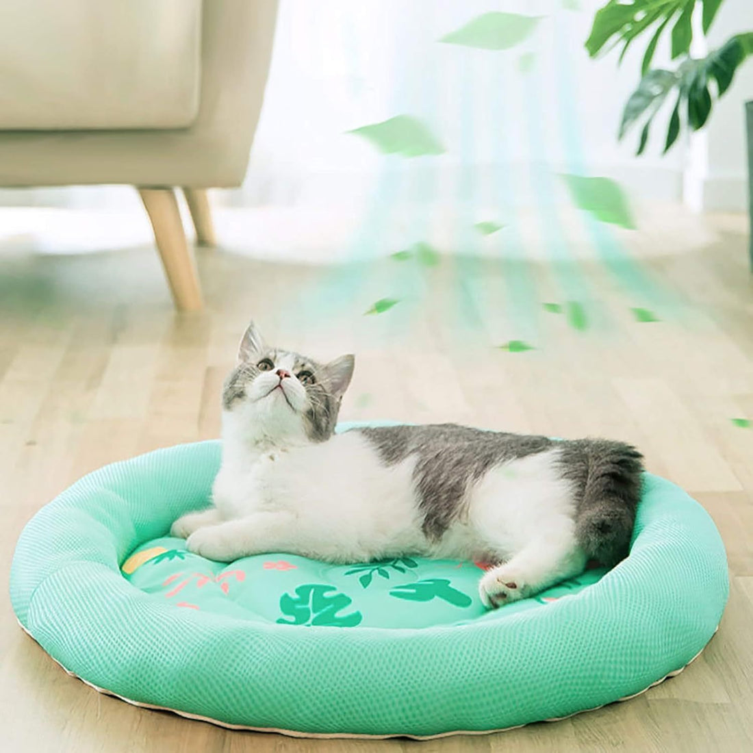 Cooling Dog Bed