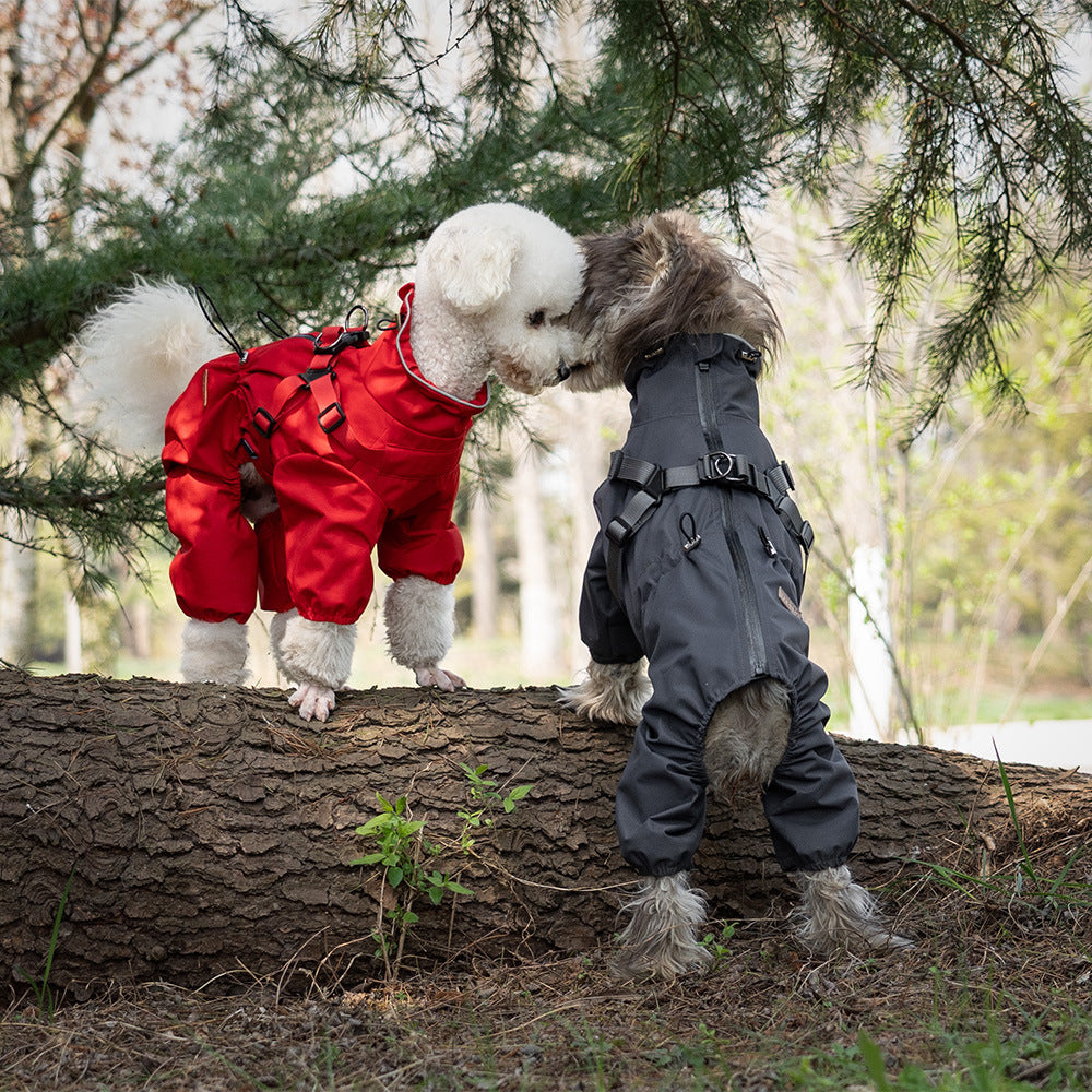 Personality Dog Pet One-piece Raincoat