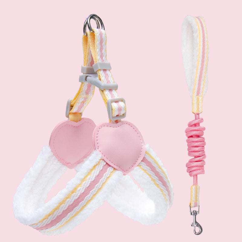 Dog Leash Summer