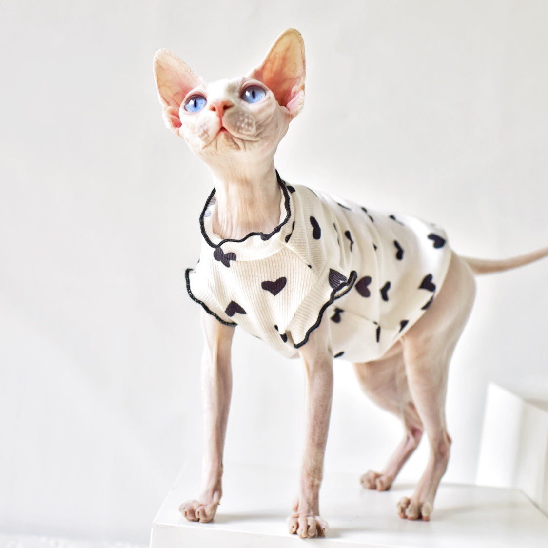 Summer Vest Cat Clothing