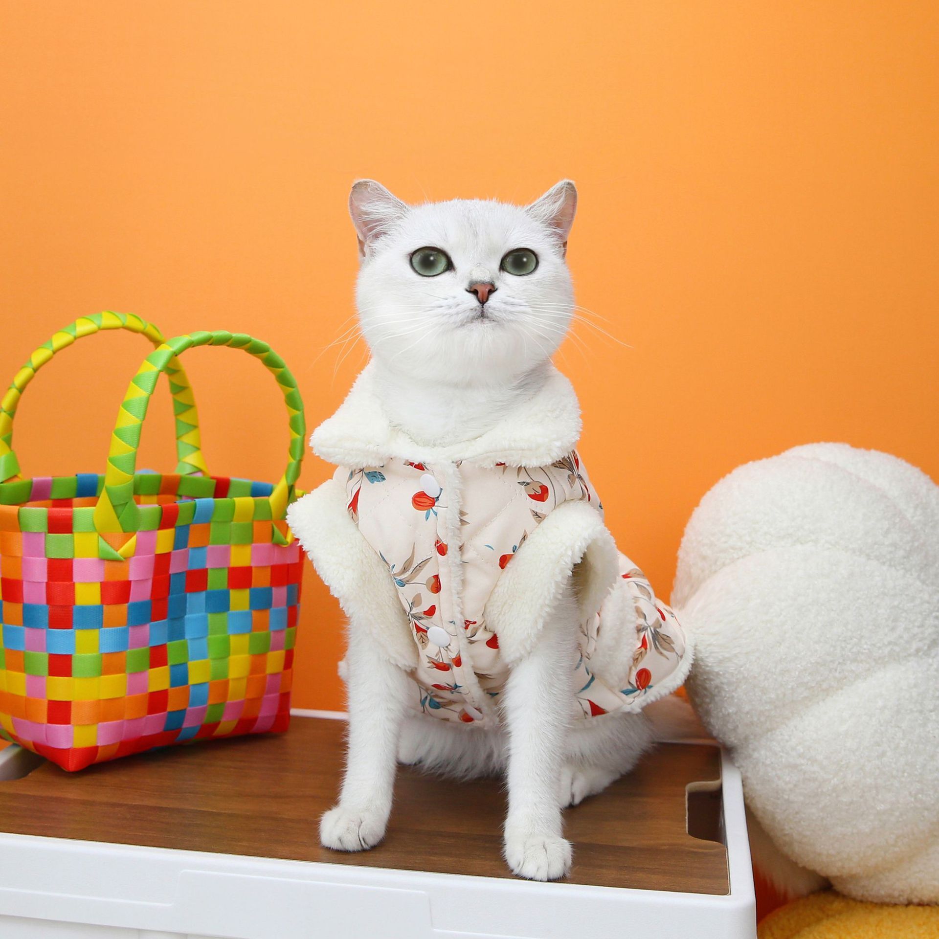 Pet Clothes Autumn Cat Clothing