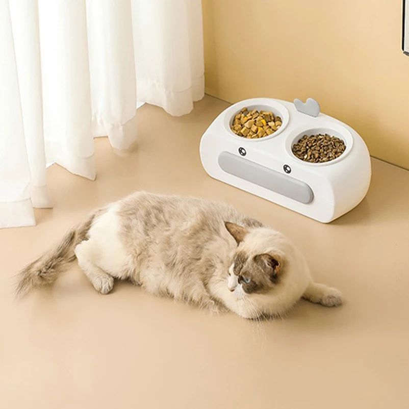 Pet Double Bowl