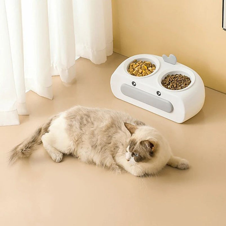 Pet Double Bowl