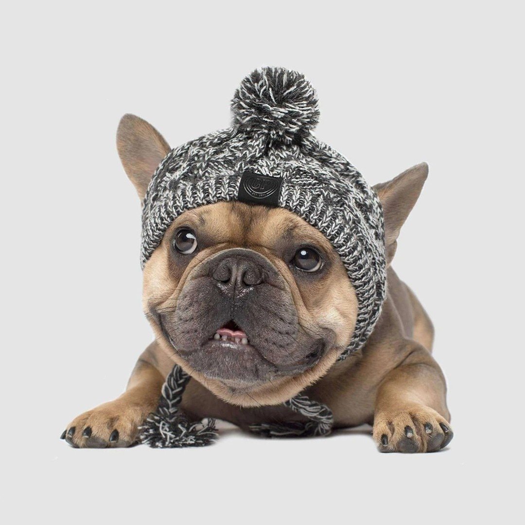 Winter Fashion Dog Hat Windproof, Fluffy Knitted Pom Pom Hat