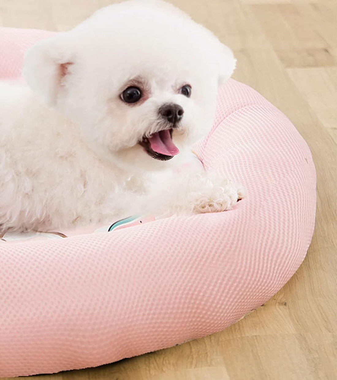 Cooling Dog Bed