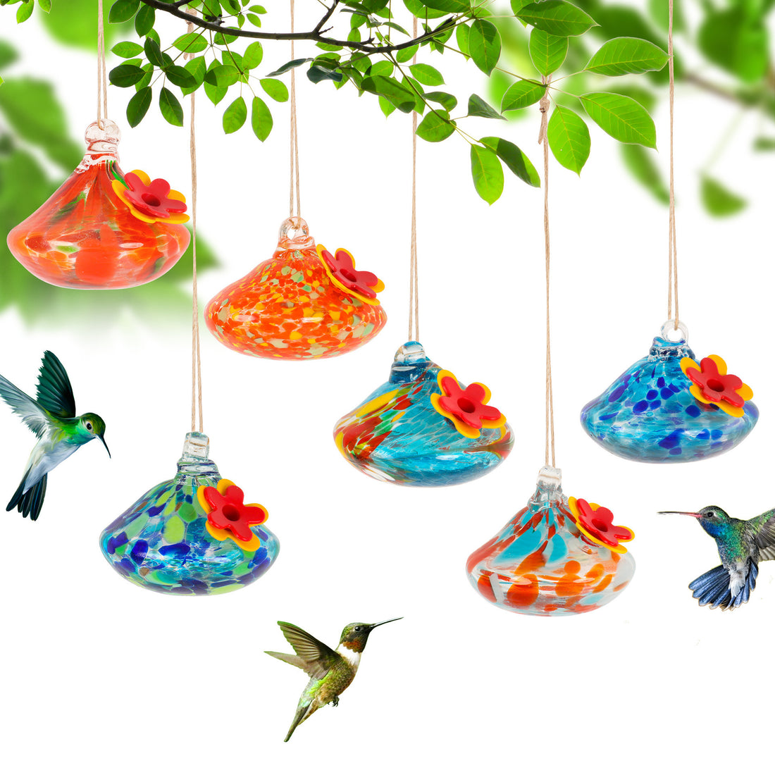 One Outdoor Courtyard With Glass Bird Feeder