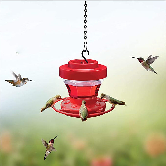 Feeder Bird Water Drinker Feeder