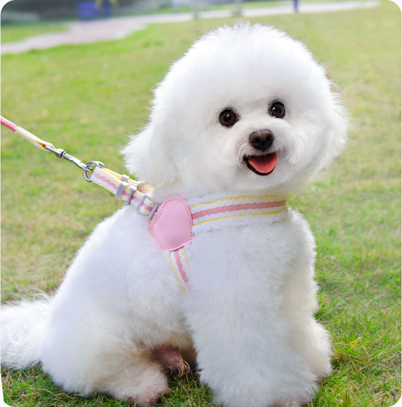 Dog Leash Summer
