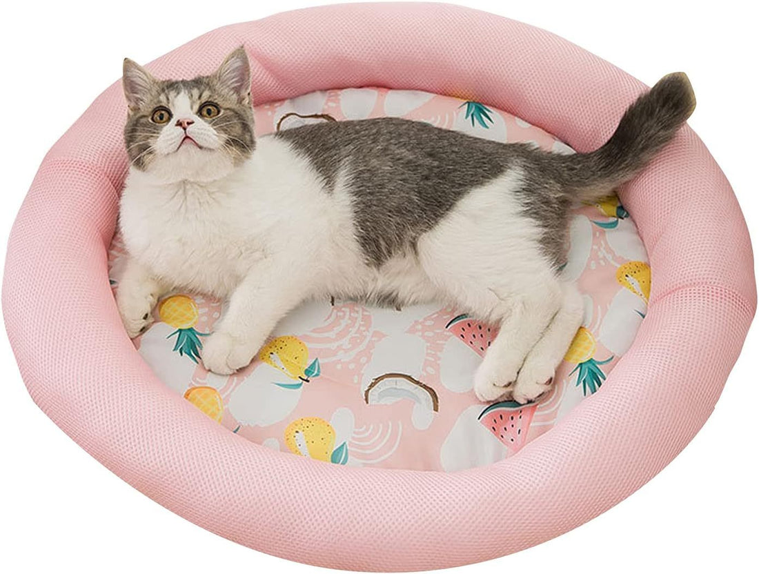 Cooling Dog Bed