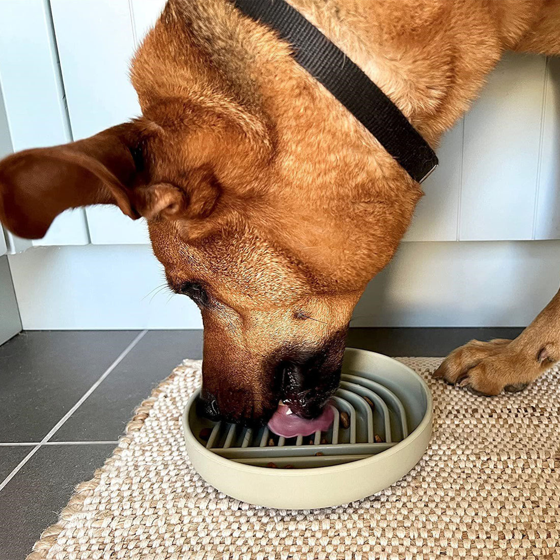Pet Cat Simple Slow Feeding Bowl