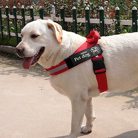 Dog Walking Chain Chest Harness