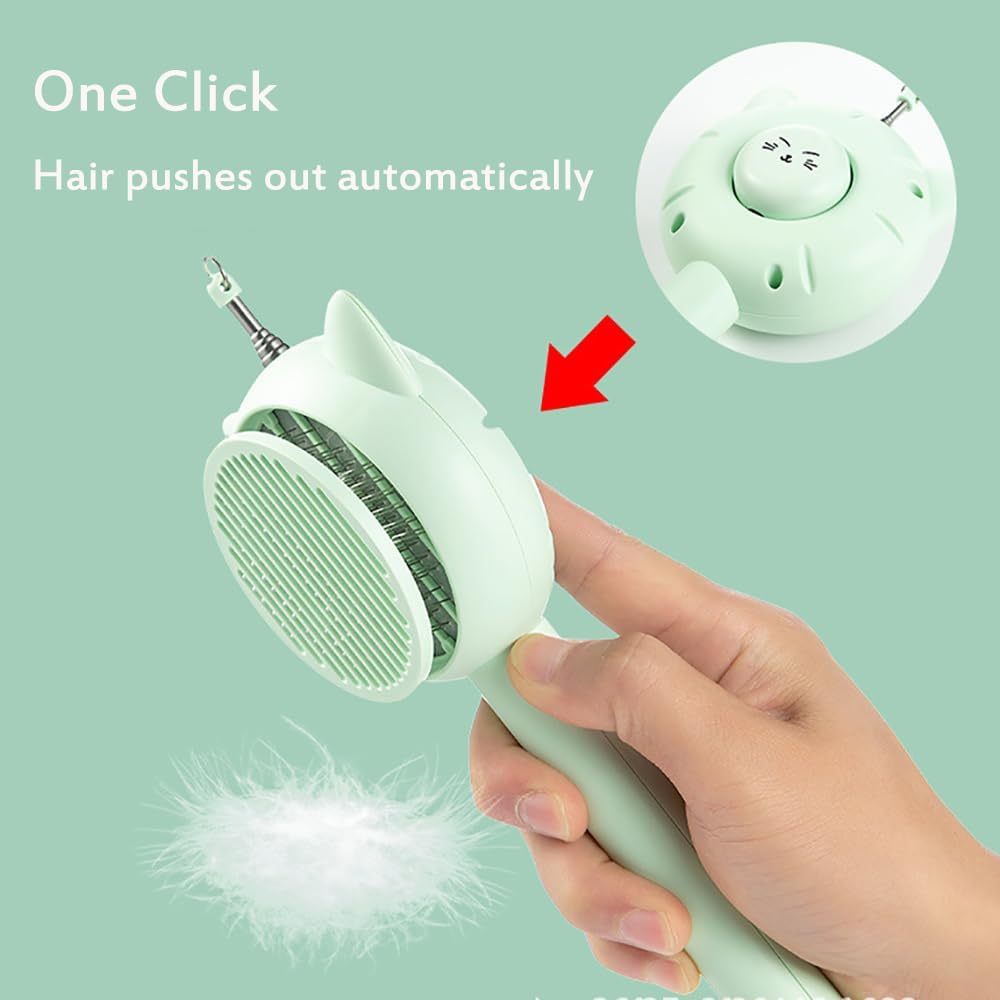 5-in-1 Interactive Cat Toy