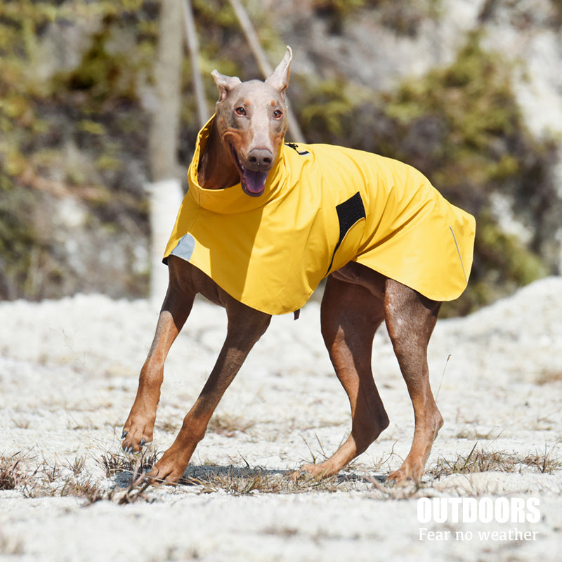 Dog Waterproof Windproof Raincoat