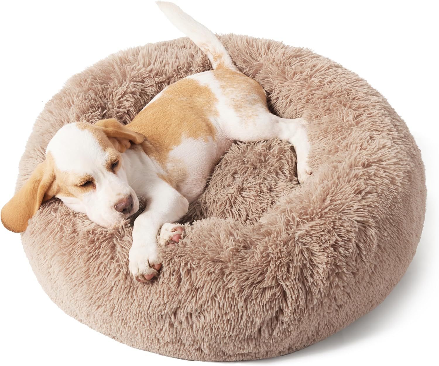 Indoor Solid Color Pet Bed