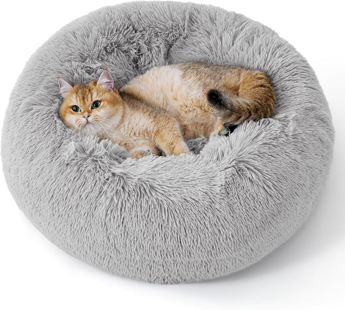 Indoor Solid Color Pet Bed