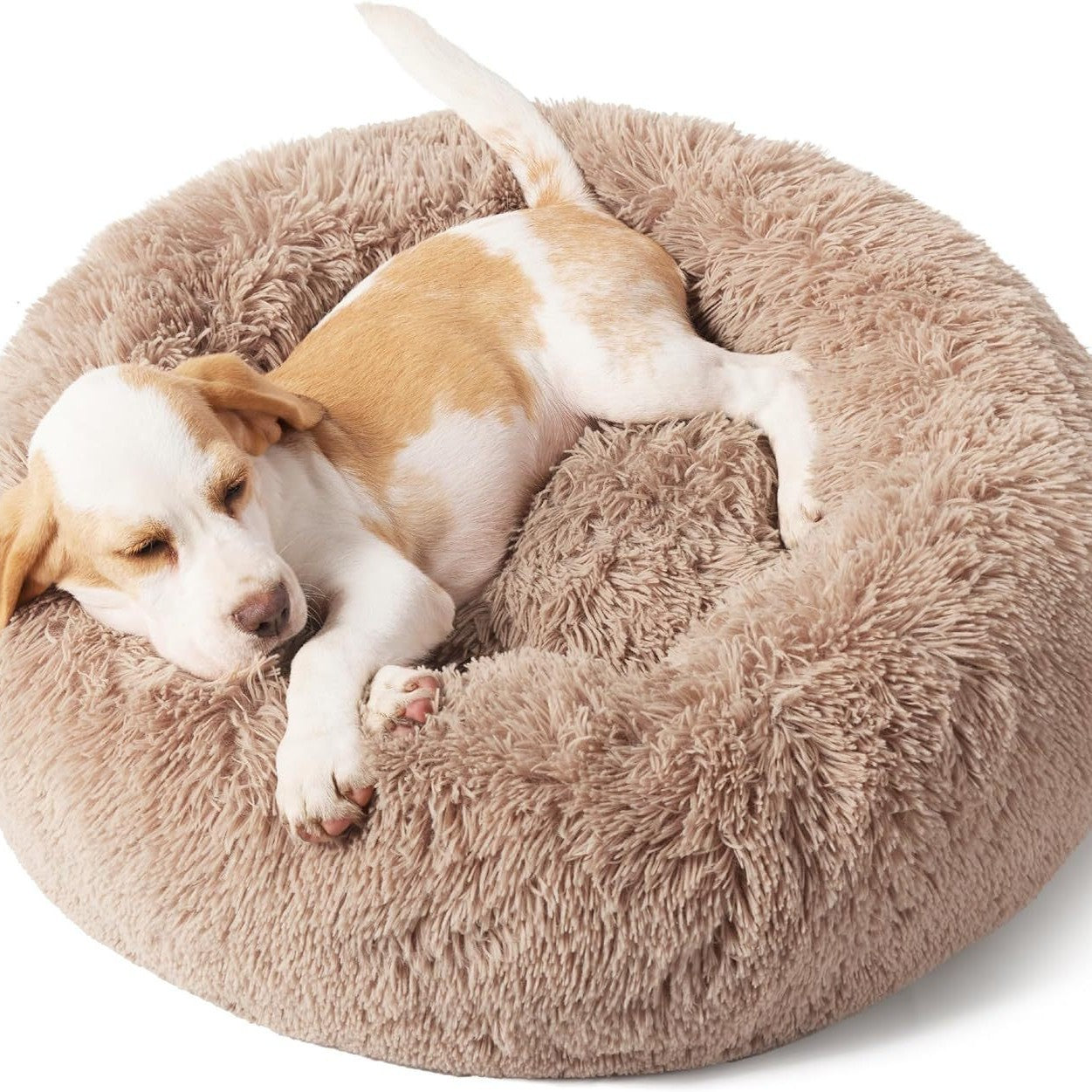 Indoor Solid Color Pet Bed