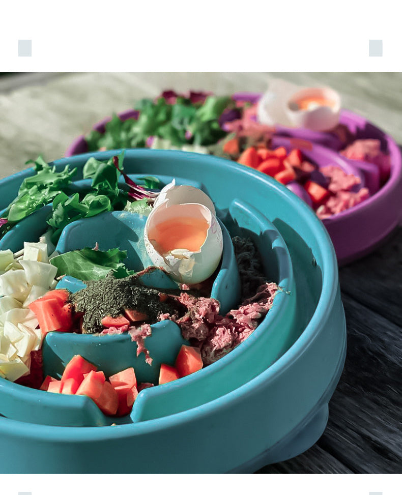 Pet Slow Feeding Bowl